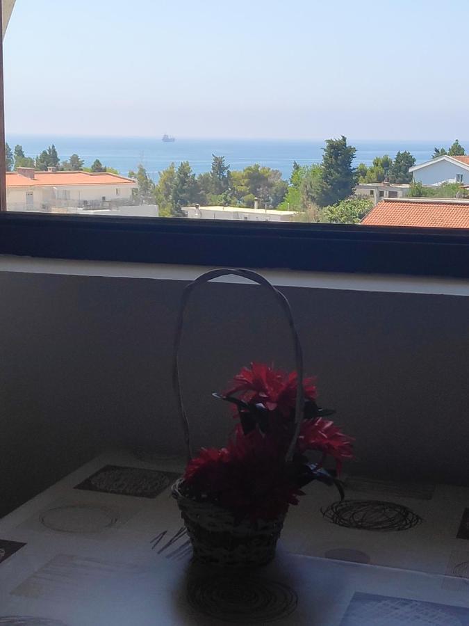 Apartmani Vitic Bar Esterno foto